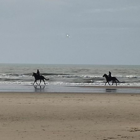 Gite Dans Le Pre Hesdin L'Abbe Carly Exteriör bild