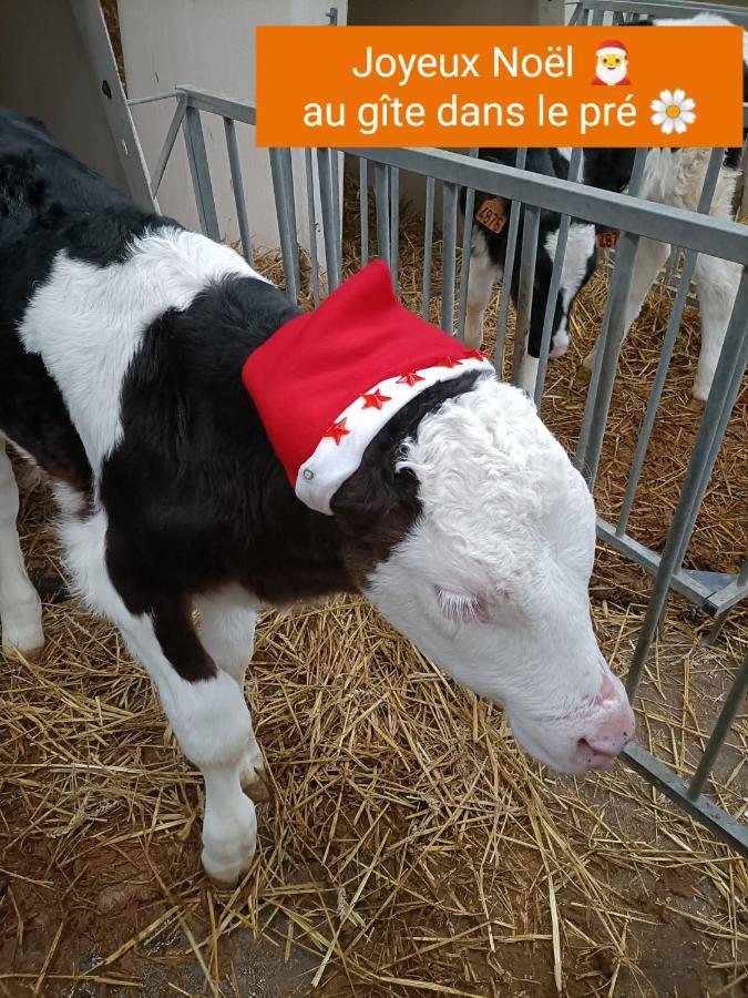 Gite Dans Le Pre Hesdin L'Abbe Carly Exteriör bild